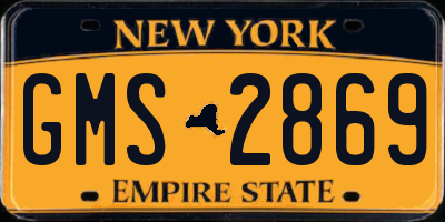 NY license plate GMS2869