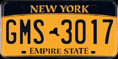 NY license plate GMS3017