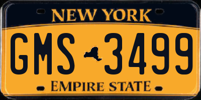 NY license plate GMS3499