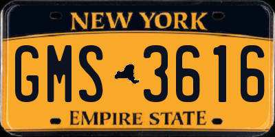 NY license plate GMS3616