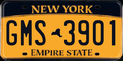 NY license plate GMS3901