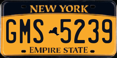 NY license plate GMS5239