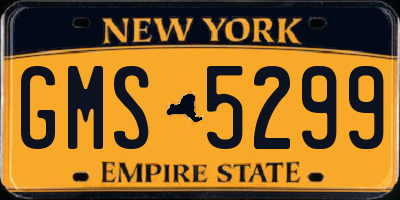 NY license plate GMS5299