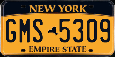 NY license plate GMS5309