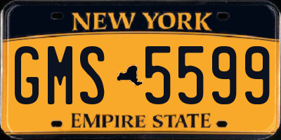 NY license plate GMS5599