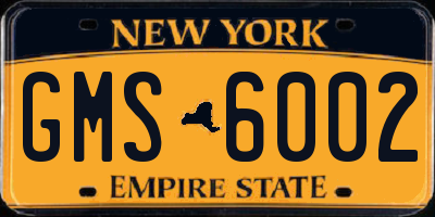 NY license plate GMS6002