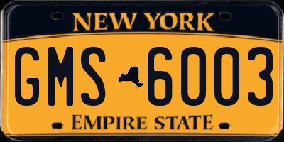 NY license plate GMS6003