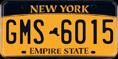 NY license plate GMS6015