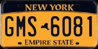 NY license plate GMS6081