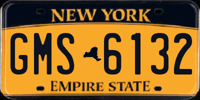 NY license plate GMS6132