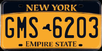 NY license plate GMS6203