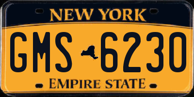 NY license plate GMS6230