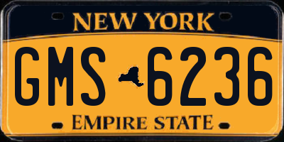 NY license plate GMS6236