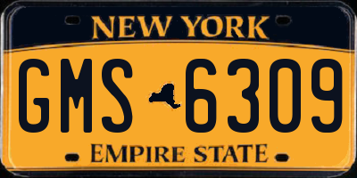 NY license plate GMS6309