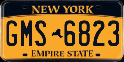 NY license plate GMS6823