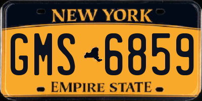 NY license plate GMS6859