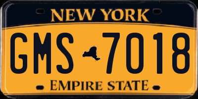 NY license plate GMS7018