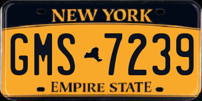NY license plate GMS7239