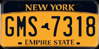 NY license plate GMS7318