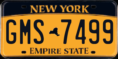 NY license plate GMS7499
