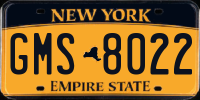NY license plate GMS8022