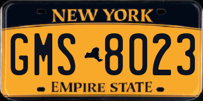 NY license plate GMS8023