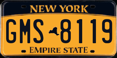 NY license plate GMS8119