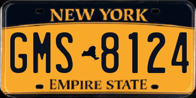 NY license plate GMS8124