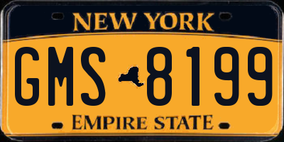 NY license plate GMS8199