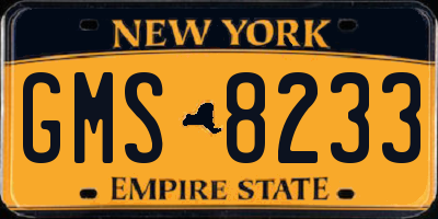 NY license plate GMS8233