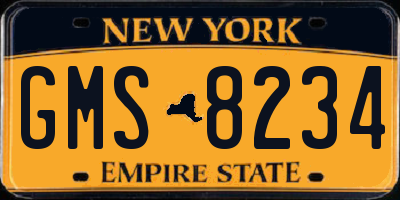NY license plate GMS8234