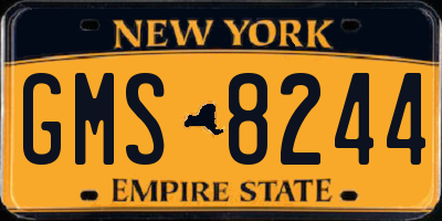 NY license plate GMS8244