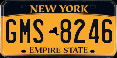 NY license plate GMS8246