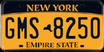 NY license plate GMS8250