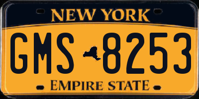 NY license plate GMS8253