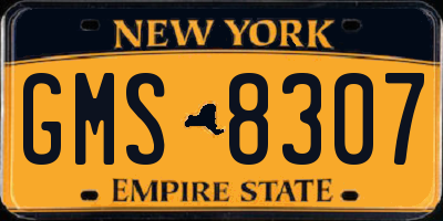 NY license plate GMS8307