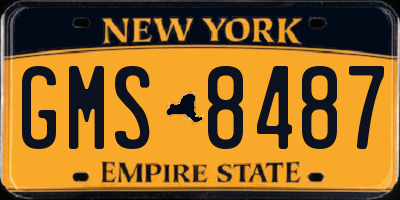NY license plate GMS8487