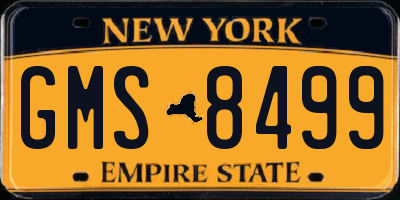NY license plate GMS8499