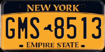 NY license plate GMS8513
