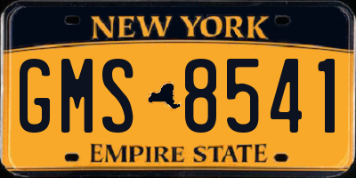 NY license plate GMS8541