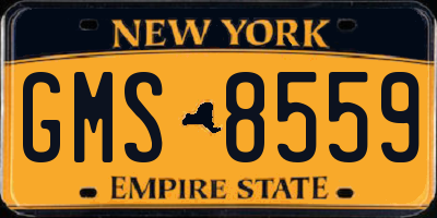 NY license plate GMS8559