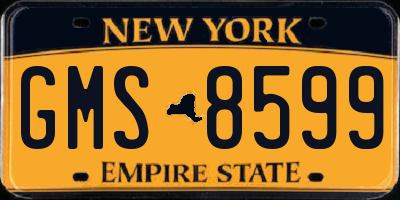 NY license plate GMS8599