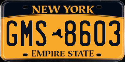 NY license plate GMS8603