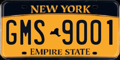 NY license plate GMS9001