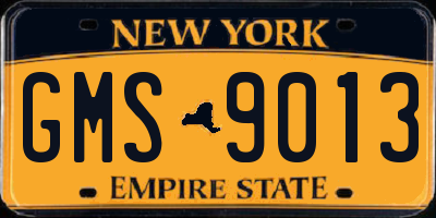 NY license plate GMS9013
