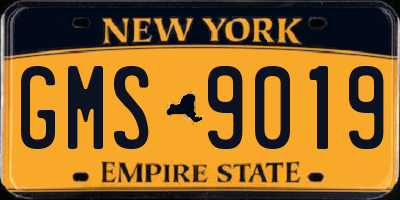 NY license plate GMS9019