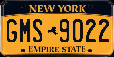 NY license plate GMS9022