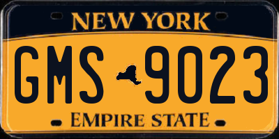 NY license plate GMS9023