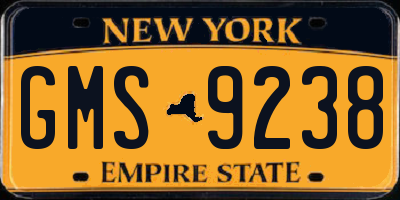 NY license plate GMS9238