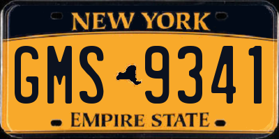 NY license plate GMS9341